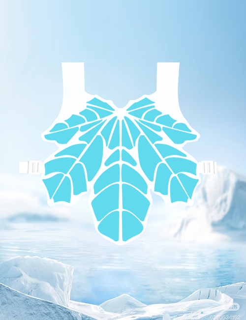 Cooling vest