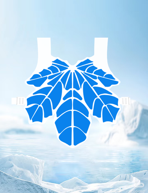 Cooling vest