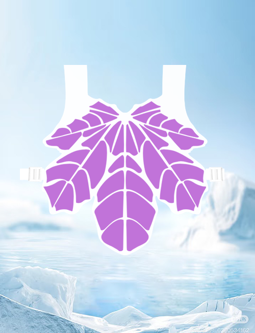 Cooling vest
